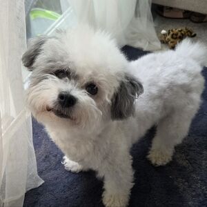 Meet your Posher, Matt